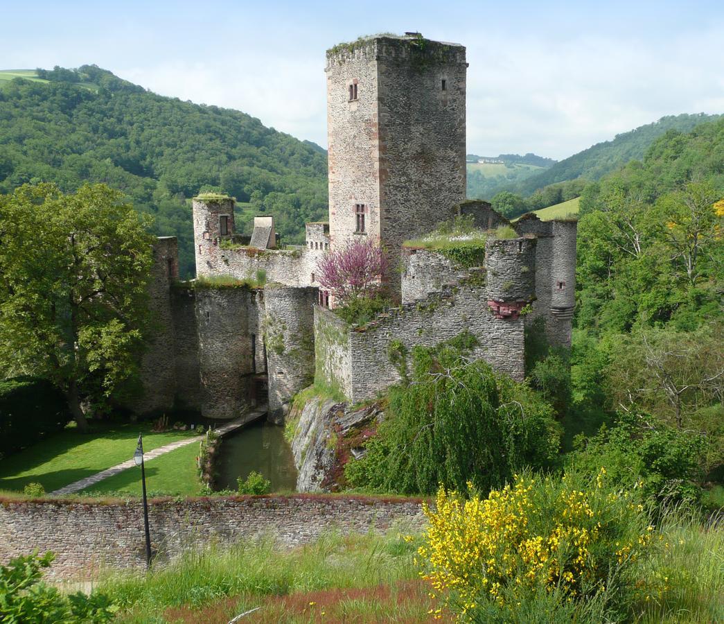 Chambre D'Hotes Au Chateau De Belcastel Belcastel  Exterior photo